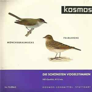 Dr. E. Tretzel - Die Schönsten Vogelstimmen: Mönchsgrasmücke, Feldlerche mp3