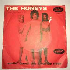 The Honeys - Surfin' Down The Swanee River mp3