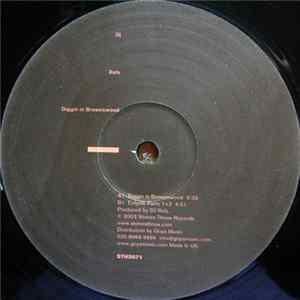 DJ Rels - Diggin In Brownswood mp3