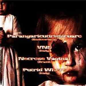 Parangaricutirimicuaro / VNS / Necrose Vaginal / Putrid Whore - Parangaricutirimicuaro / VNS / Necrose Vaginal / Putrid Whore mp3