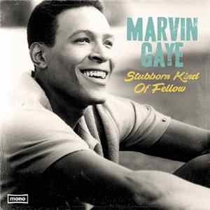 Marvin Gaye - Stubborn Kind Of Fellow mp3