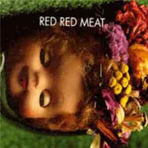 Red Red Meat - Bunny Gets Paid mp3
