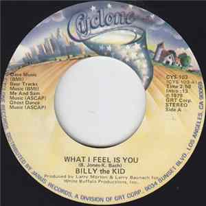 Billy The Kid - What I Feel Is You mp3