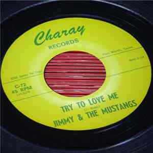 Jimmy & The Mustangs - Try To Love Me mp3