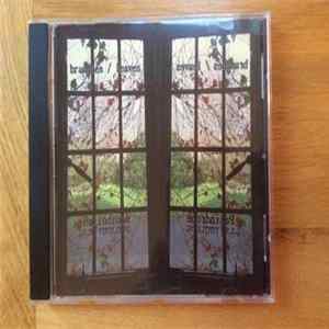Branches , Leaves - Palindrone mp3