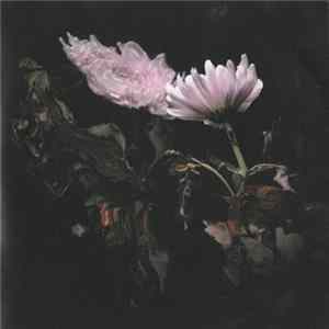 Lo Moon - Loveless mp3