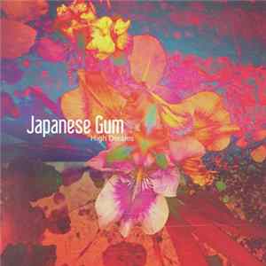 Japanese Gum - High Dreams mp3