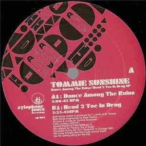 Tommie Sunshine - Dance Among The Ruins / Head 2 Toe In Drag EP mp3