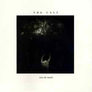 The Call - Into The Woods mp3