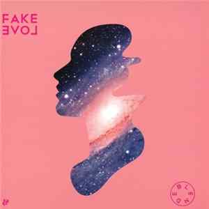 Blende - Fake Love mp3