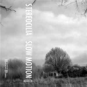 Stereocilia - Slow Motion mp3