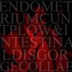 Intestinal Disgorge & Endometrium Cuntplow - Intestinal Disgorge / Endometrium Cuntplow mp3