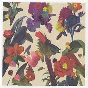 Washed Out - Paracosm mp3