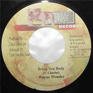 Wayne Wonder - Bring You Body mp3