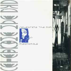 Celebrate The Nun - Meanwhile mp3
