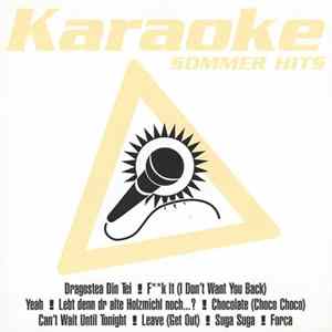 Unknown Artist - Karaoke Sommer Hits mp3