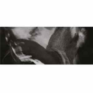 Heith - Silence Will Expire mp3