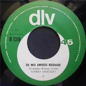 Mario Saucedo - De Mis Amigos Rodiado / En Que Quedamos mp3