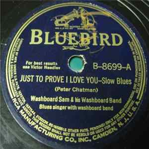 Washboard Sam & His Washboard Band - Just To Prove I Love You / Come On Back mp3