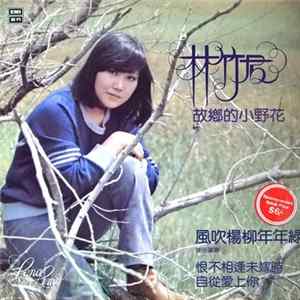 林竹君 - 故鄉的小野花 / 恨不相逢未嫁時 / 風吹楊柳年年綠 / 自從愛上 mp3