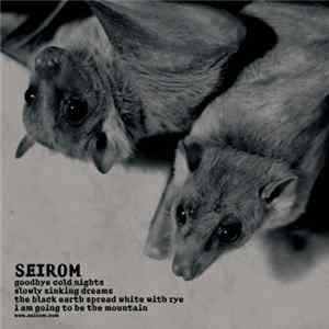 Seirom - Goodbye Cold Nights mp3