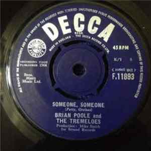 Brian Poole And The Tremeloes - Someone, Someone mp3