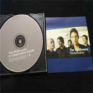 The Wallflowers - Sleepwalker mp3