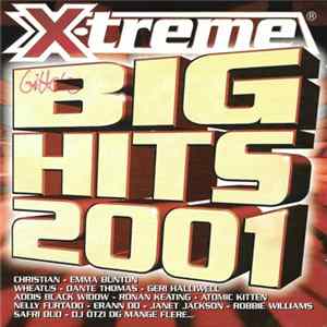 Various - X-treme Big Hits 2001 mp3