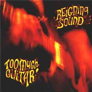 Reigning Sound - Too Much Guitar mp3