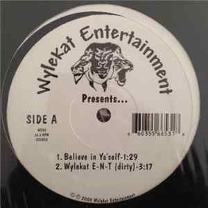 Wylekat Entertainment - Believe In Ya Self mp3