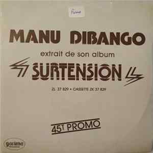 Manu Dibango - Extrait De Son Album Surtension mp3