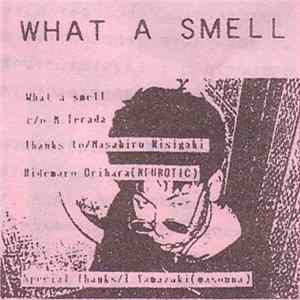 What A Smell - What A Smell mp3