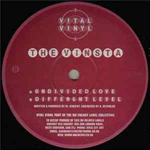 The Vinsta - Undivided Love / Different Level mp3