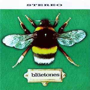 The Bluetones - Slight Return mp3