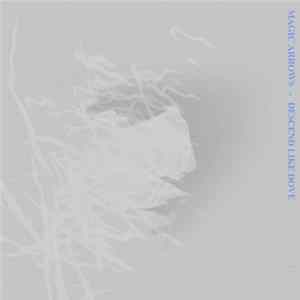 Magic Arrows - Descend Like Dove mp3