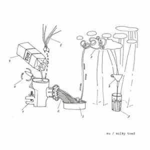 EU / Milky Toad - Milky Toad Vs EU Vol​.​1 mp3