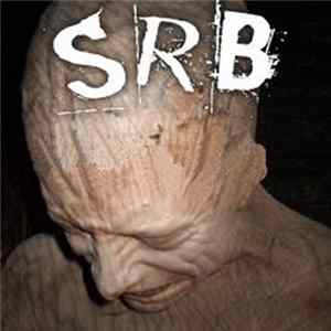 SRB - Everything Is Fucked mp3