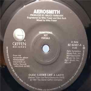 Aerosmith - Dude (Looks Like A Lady) - Promo mp3