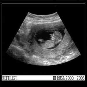 Reptile71 - In Dust: 2000 - 2003 mp3
