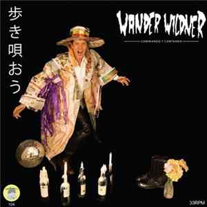 Wander Wildner / Handsome And Heartbreakers - Caminando Y Cantando / Meus Olhos Estão Chorando mp3
