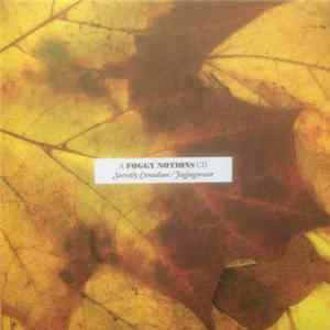 Various - Secretly Canadian / Jagjaguwar mp3