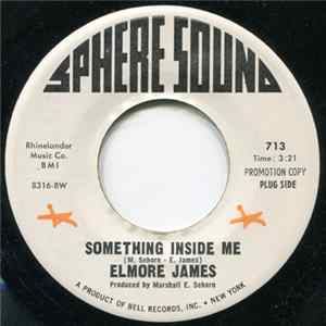Elmore James - Something Inside Me / She Done Move (Instrumental) mp3