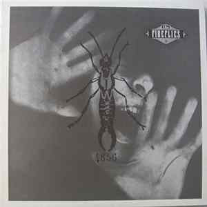 Fireflies - Picture Frame mp3