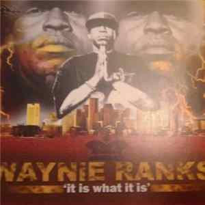 Waynie Ranks - It Is What It Is mp3