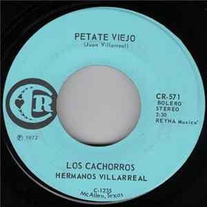 Los Cachorros Hermanos Villarreal - Petate Viejo / Tus Disgustos mp3