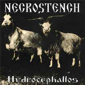 Necrostench - Hydrocephallos mp3