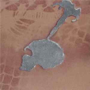 Grey Daturas & Yellow Swans - Copper / Silver mp3