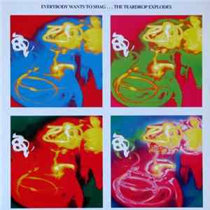 The Teardrop Explodes - Everybody Wants To Shag...The Teardrop Explodes mp3