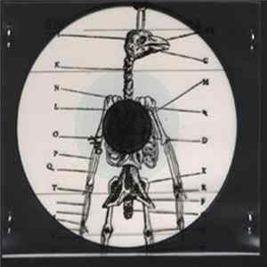 Ashtray Navigations - Electric Cointelpro mp3