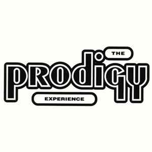 The Prodigy - Experience mp3